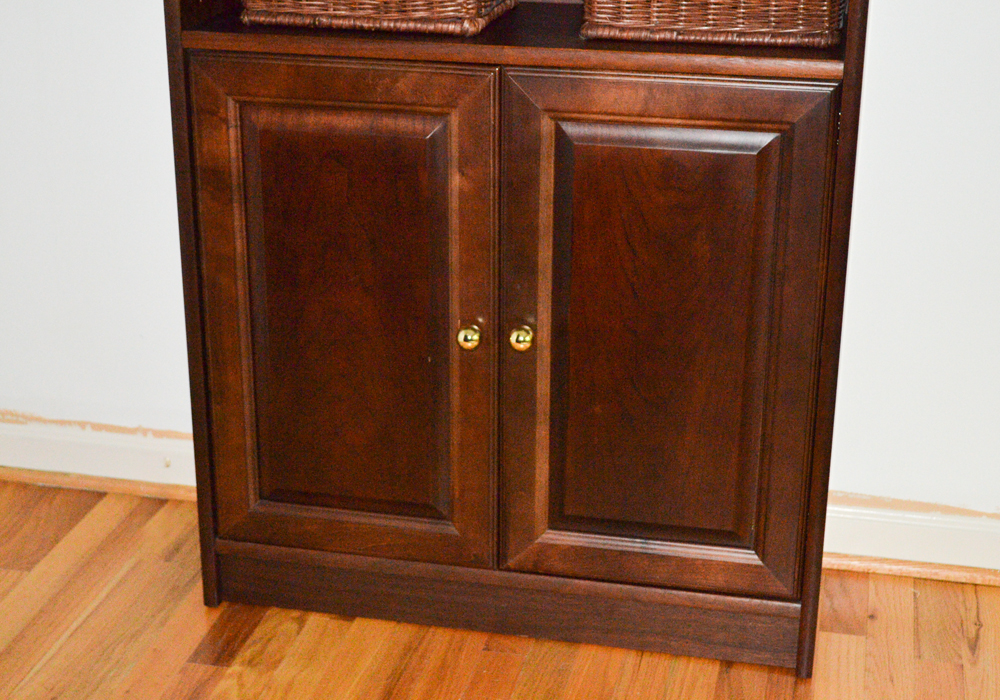 Contemporary Cabinet