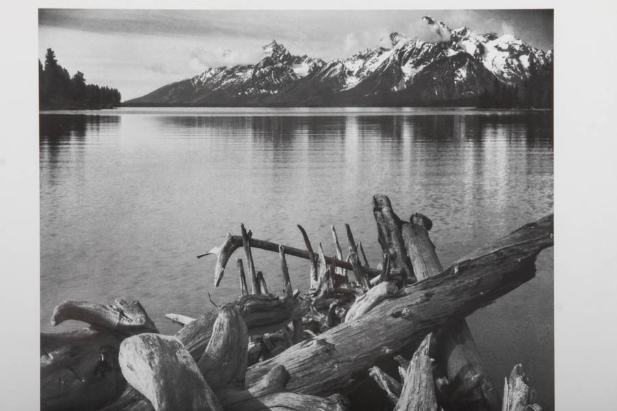 Offset Lithograph Poster for The Mural Project After Ansel Adams's "Driftwood"