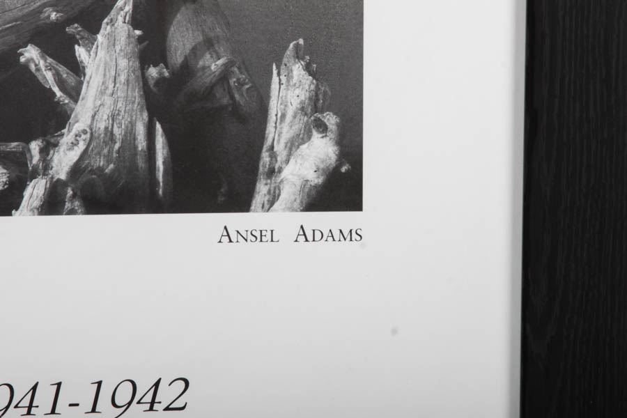 Offset Lithograph Poster for The Mural Project After Ansel Adams's "Driftwood"