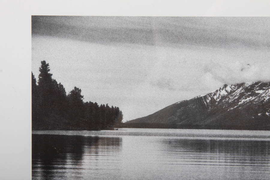 Offset Lithograph Poster for The Mural Project After Ansel Adams's "Driftwood"