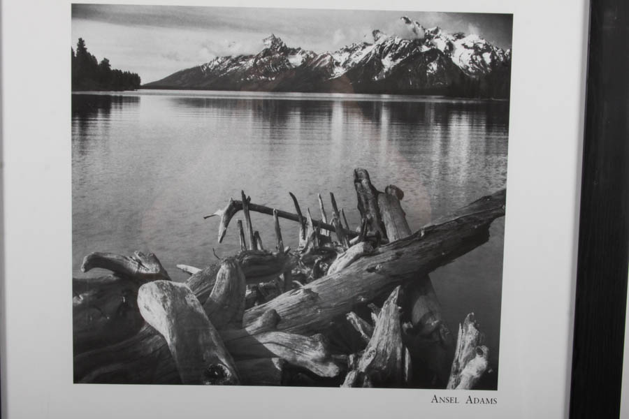Offset Lithograph Poster for The Mural Project After Ansel Adams's "Driftwood"
