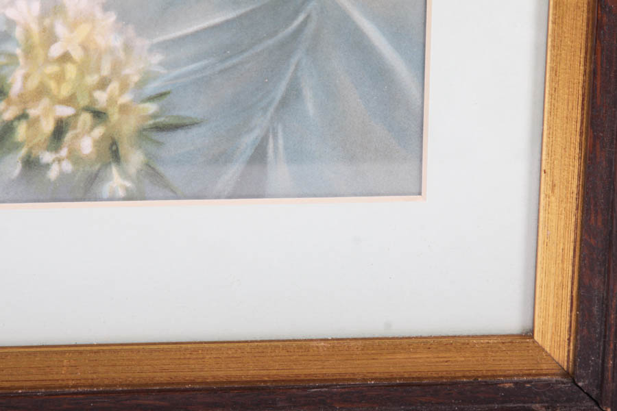 Vintage Chromo Lithograph Print