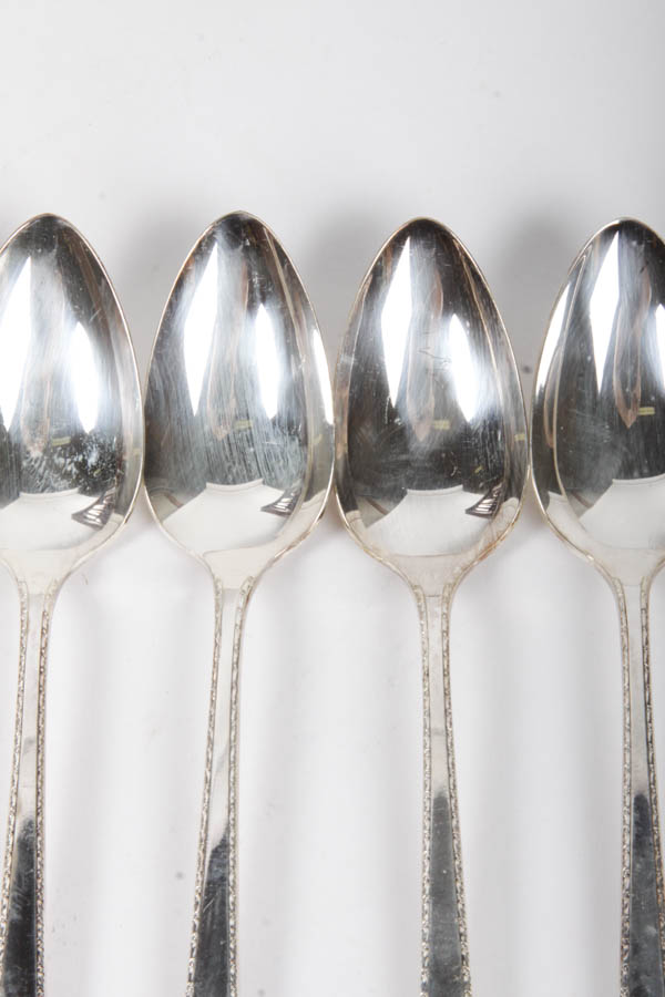 Prestige Silver Plate Flatware Set