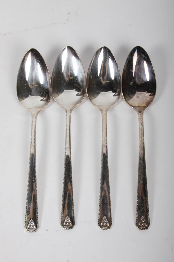 Prestige Silver Plate Flatware Set