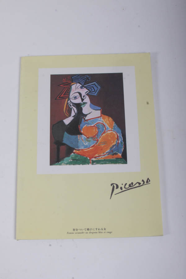 Picasso Stationary and Journals