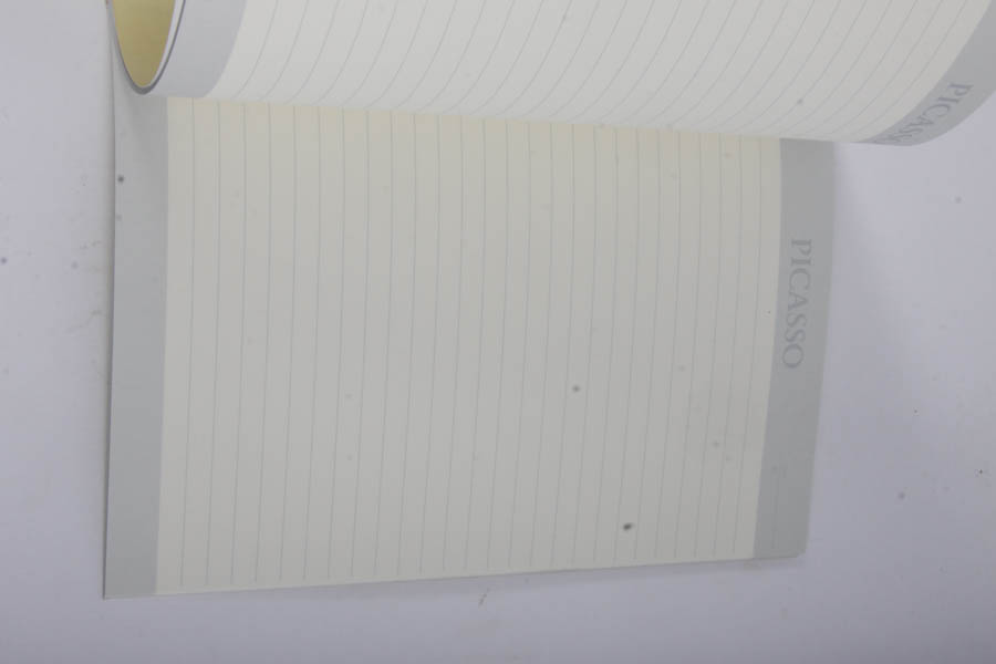 Picasso Stationary and Journals