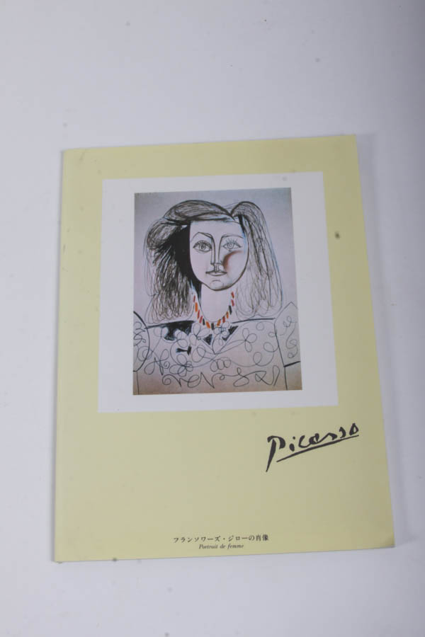 Picasso Stationary and Journals