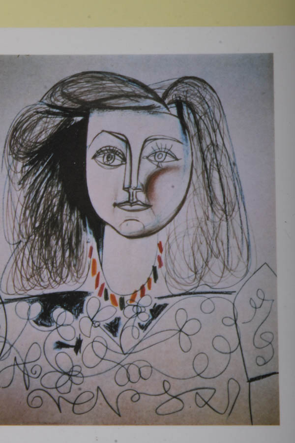 Picasso Stationary and Journals