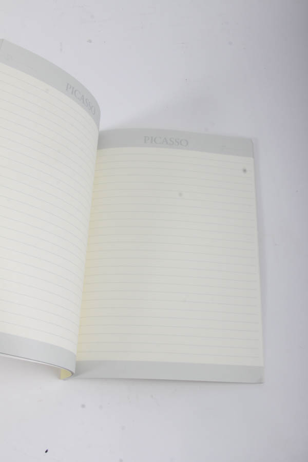 Picasso Stationary and Journals