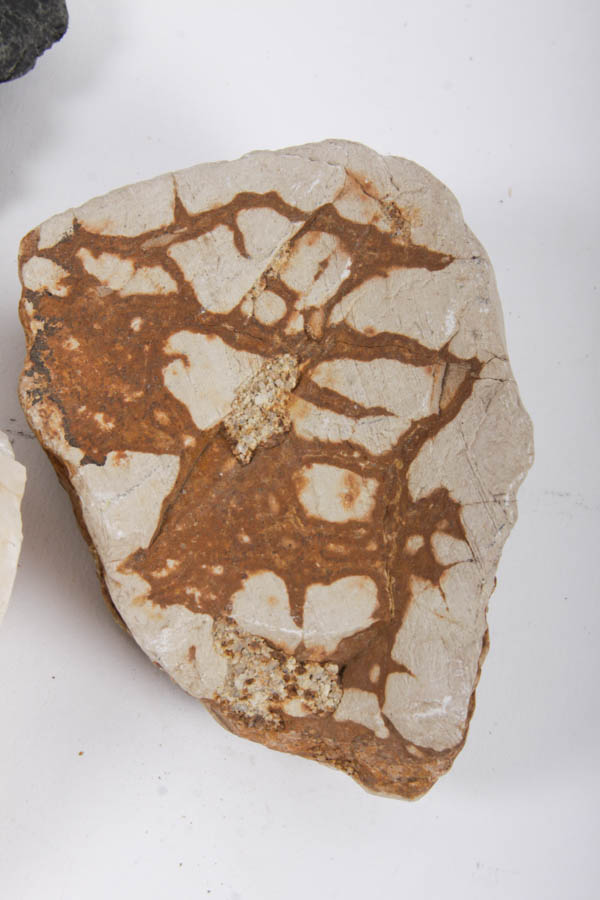 Rock and Mineral Specimens