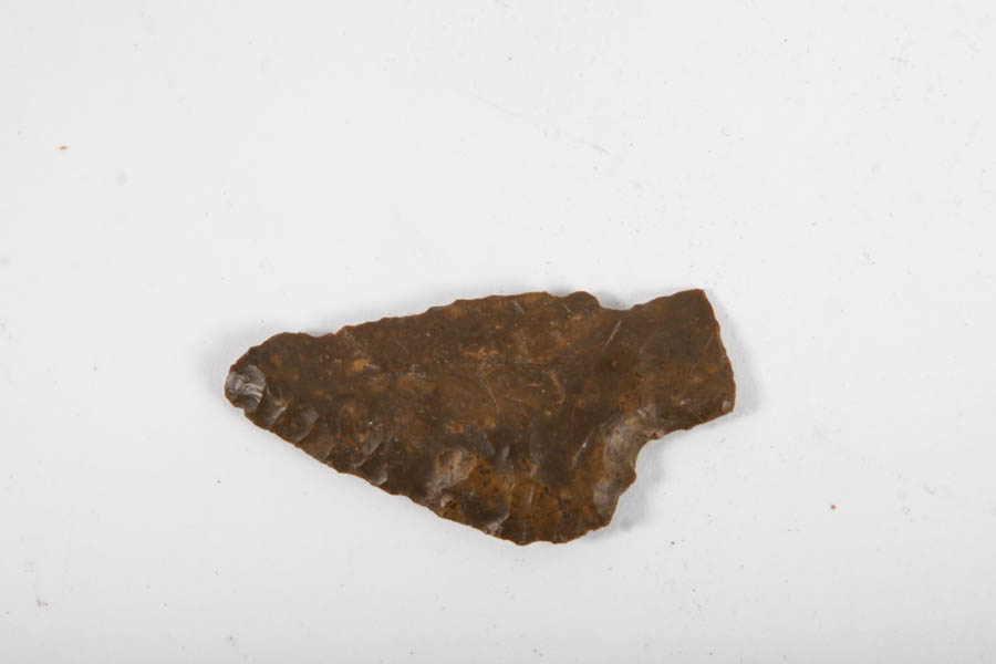 Rock and Mineral Specimens