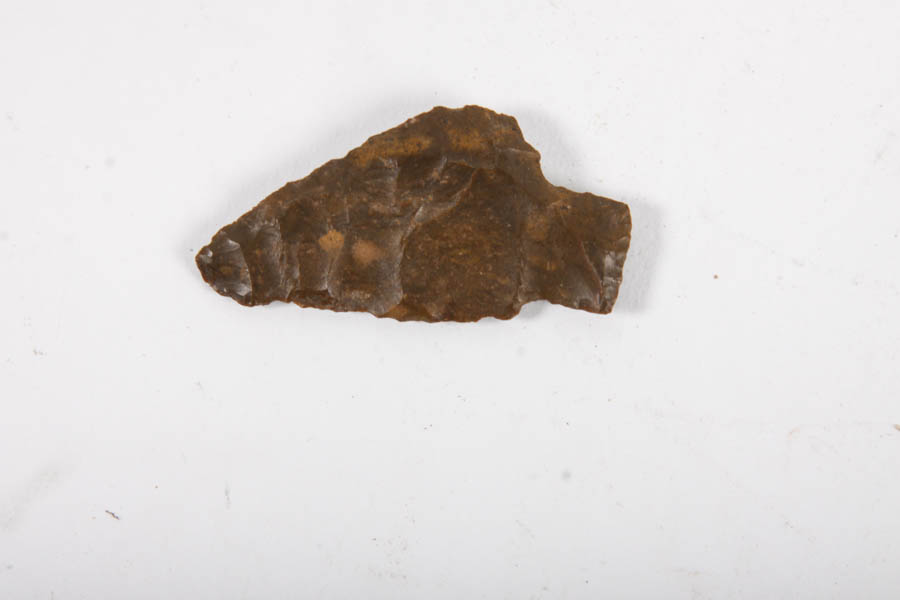 Rock and Mineral Specimens