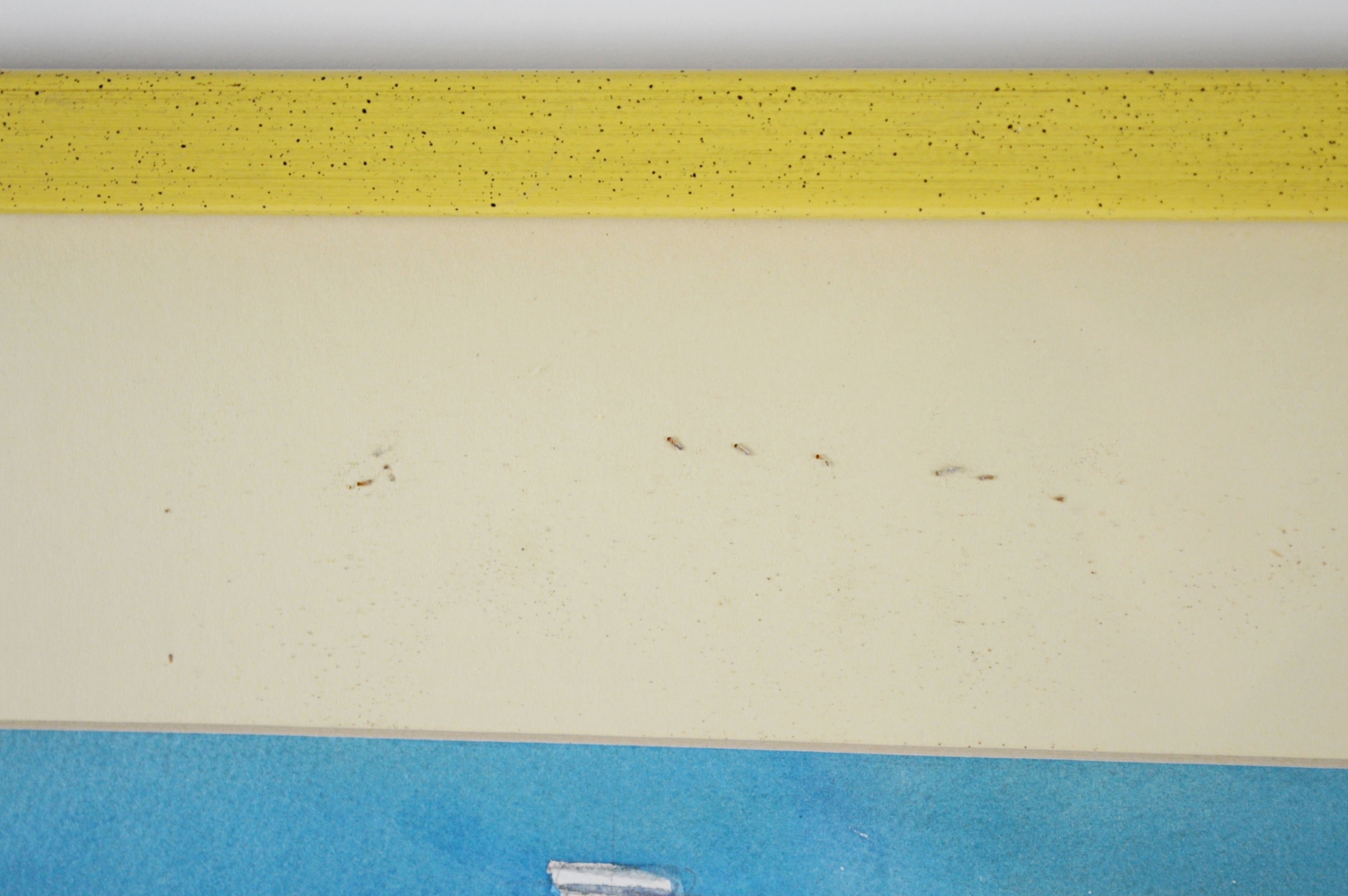 Amanda Eller Kirby Watercolor "A San Francisco House"