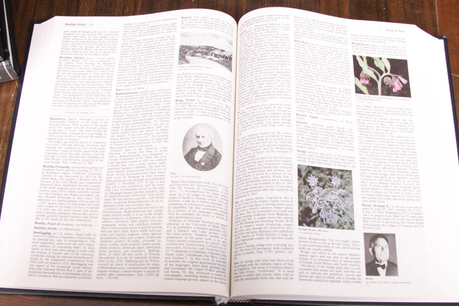 Circa 1995 Encyclopedia Britannica Set