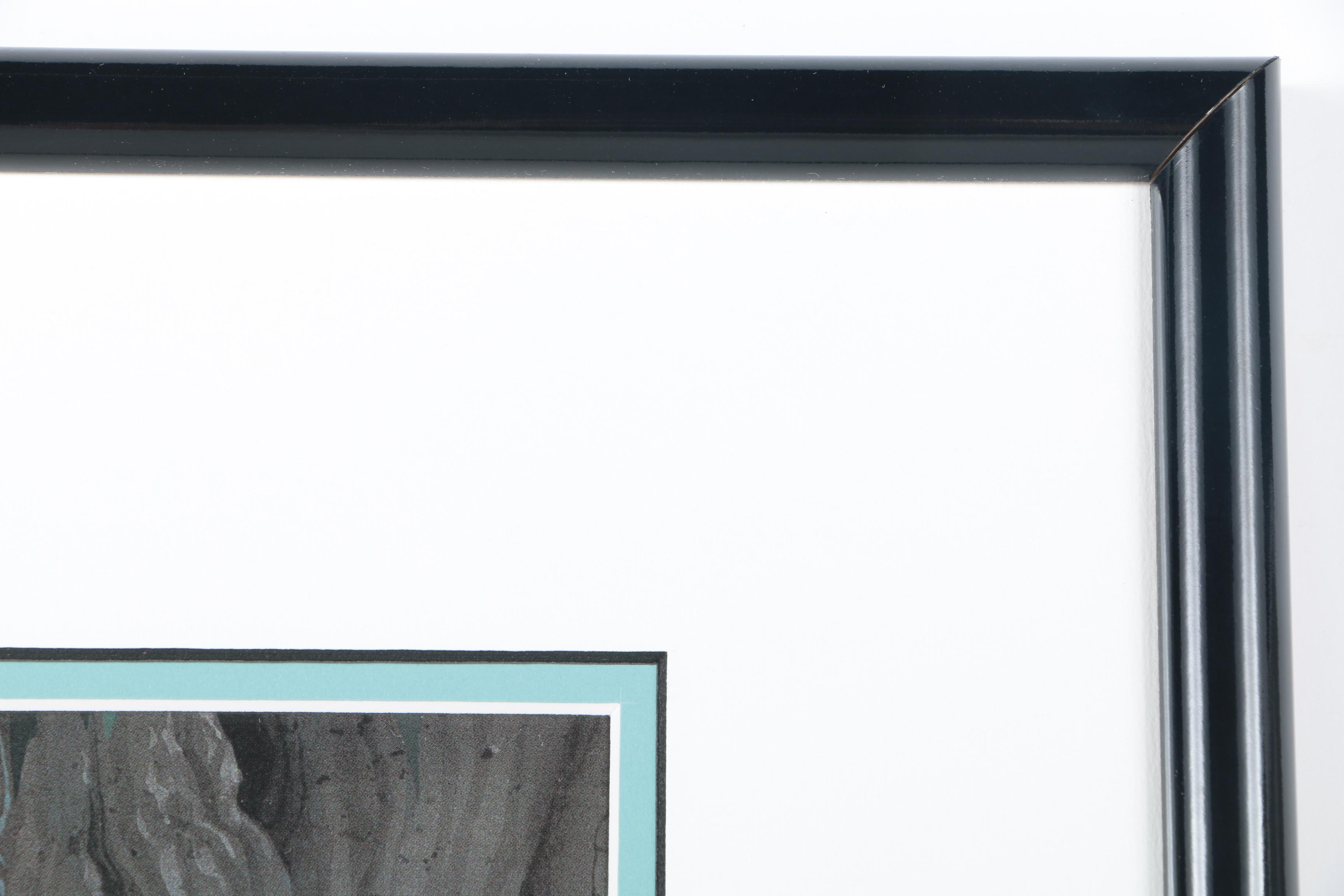 Disney's Sleeping Beauty Limited Edition Sericel "Dream Duet"