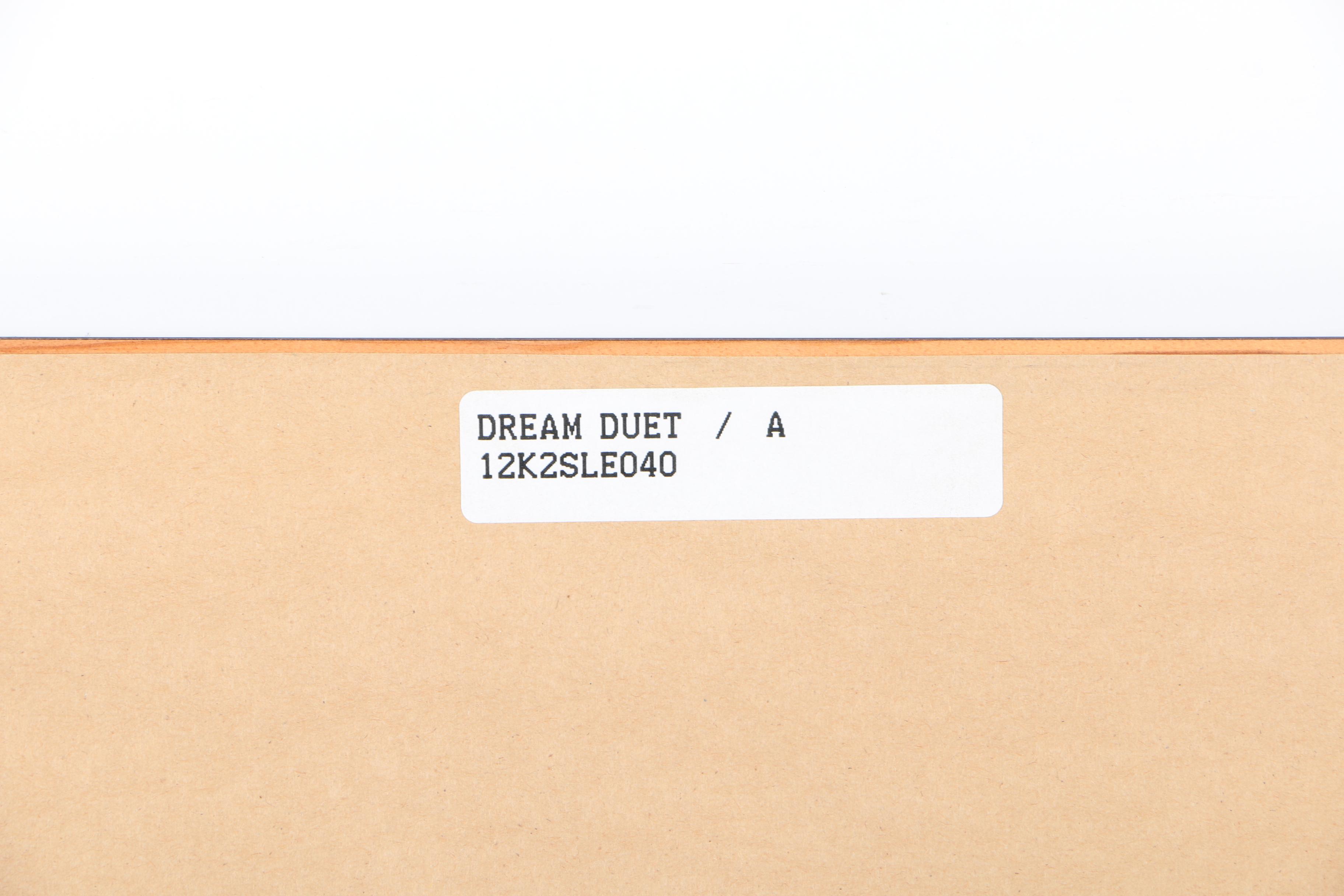 Disney's Sleeping Beauty Limited Edition Sericel "Dream Duet"