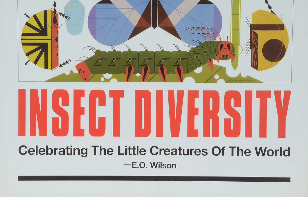 Charley Harper 2005 Offset Lithographic Poster "Insect Diversity"
