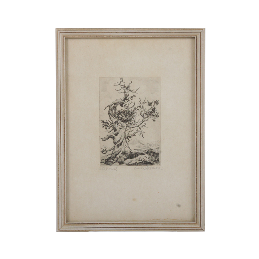 Lucile Thomas Signed Etching "Old Scout"