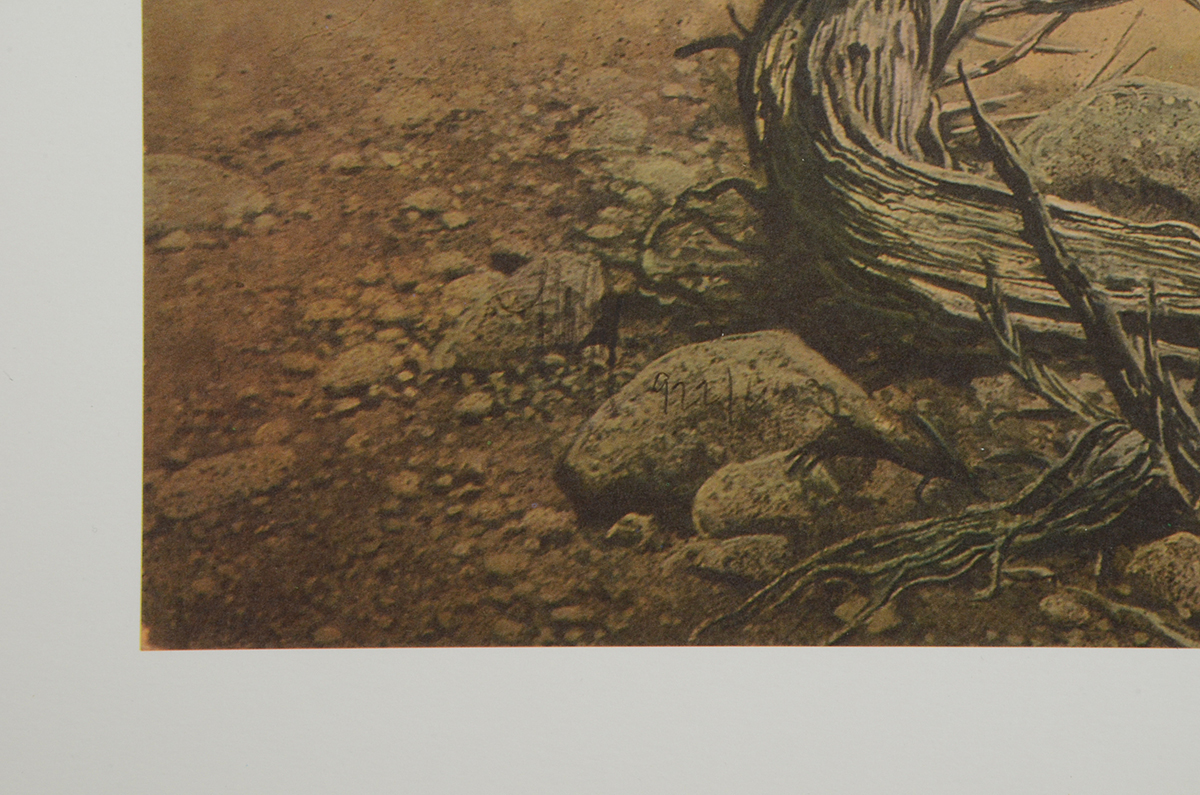 Frank McCarthy Signed Limited Edition Offset Lithograph "Under Hostile Fire"