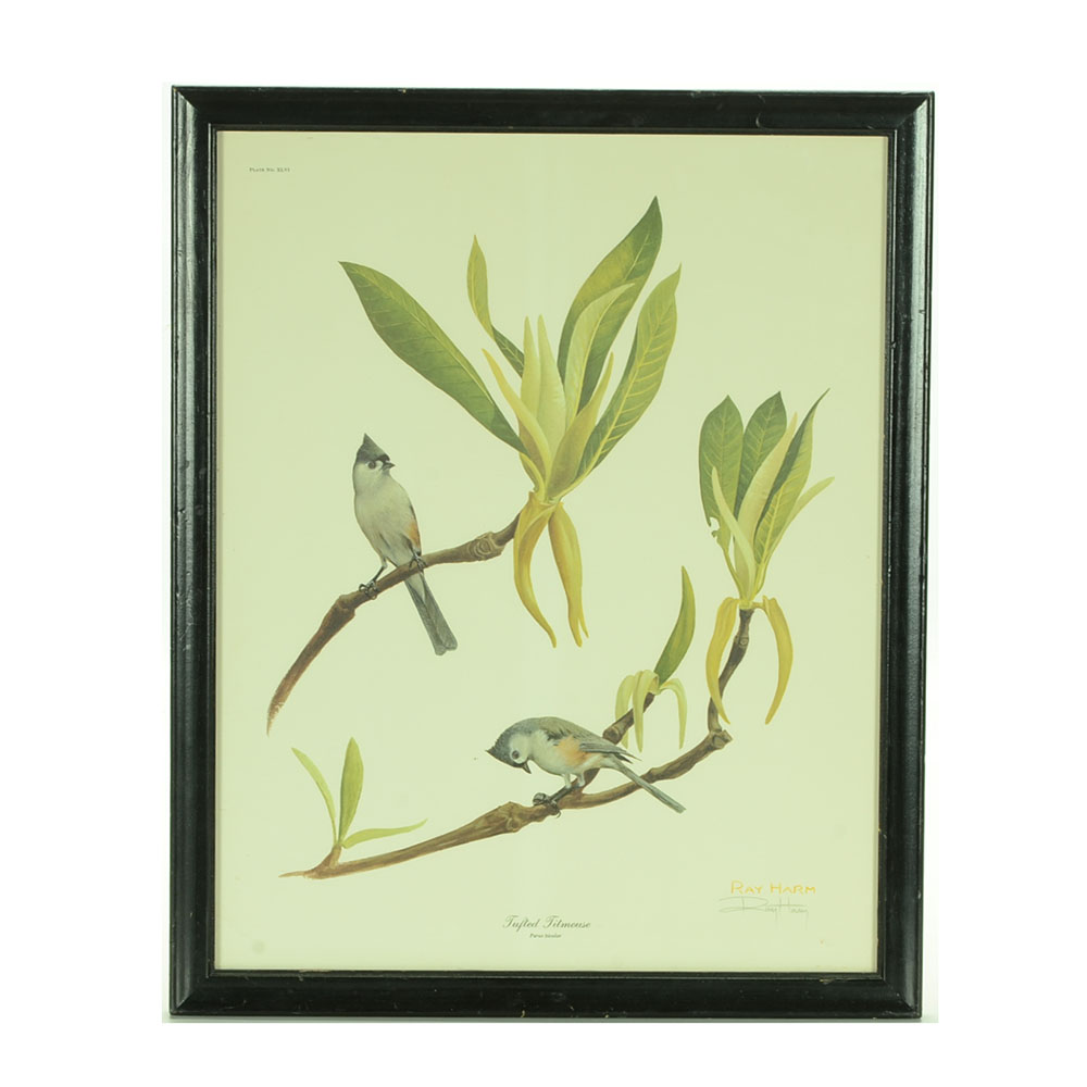Ray Harm Signed Offset Lithograph "Tufted Titmouse"