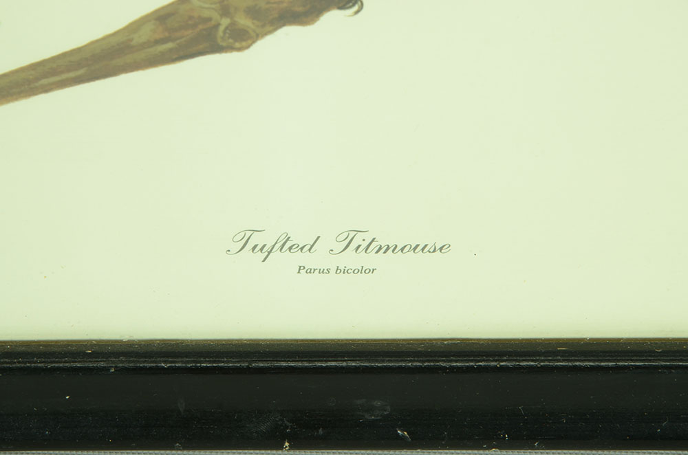 Ray Harm Signed Offset Lithograph "Tufted Titmouse"