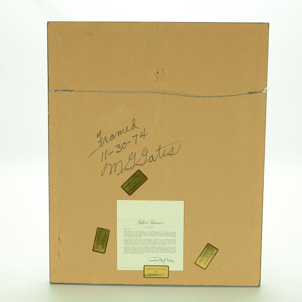 Ray Harm Signed Offset Lithograph "Tufted Titmouse"