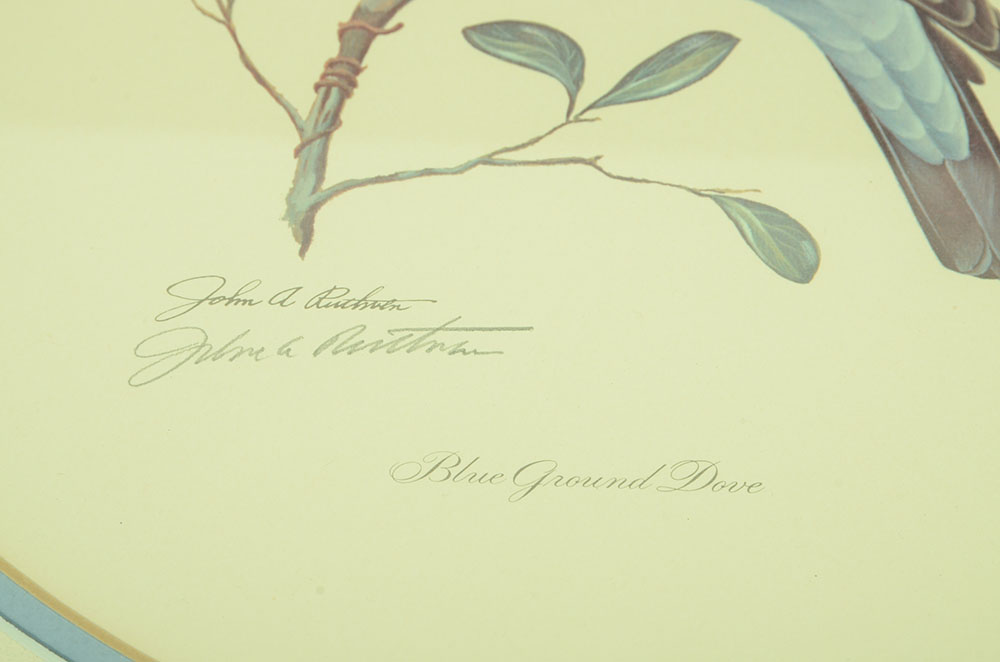 John Ruthven Signed Limited Edition Offset Lithograph "Blue Ground Dove"