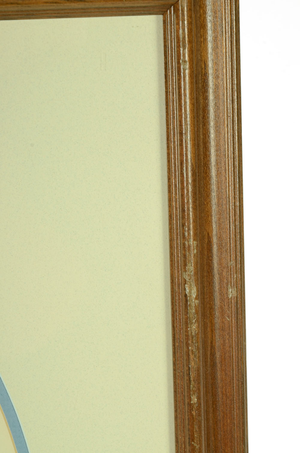 John Ruthven Signed Limited Edition Offset Lithograph "Blue Ground Dove"