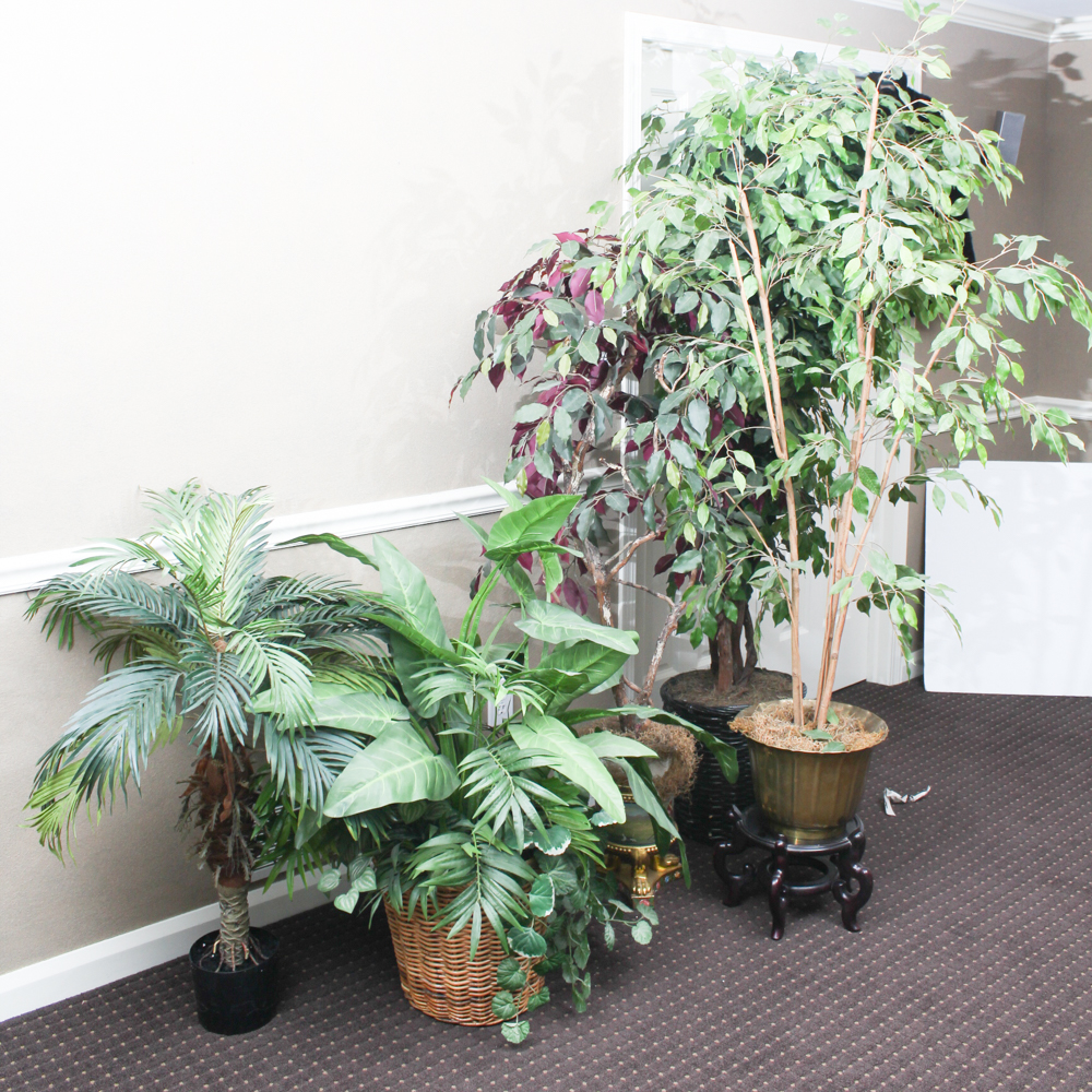 Floral Decor Collection