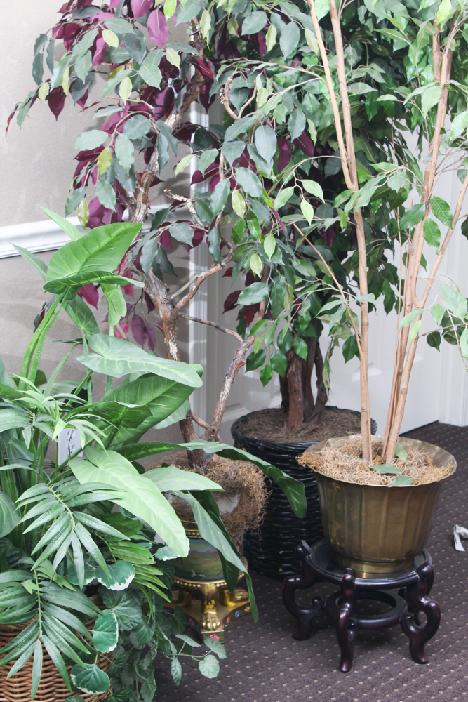 Floral Decor Collection