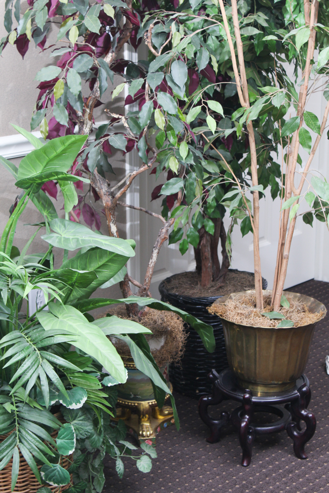 Floral Decor Collection