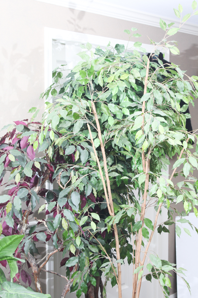 Floral Decor Collection