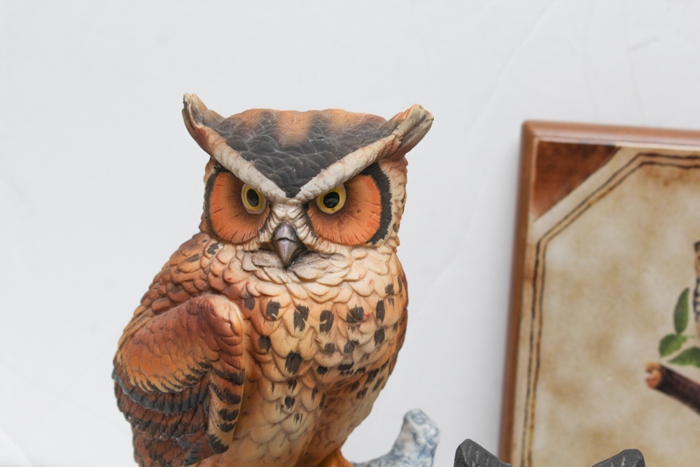 Owl Decor Collection