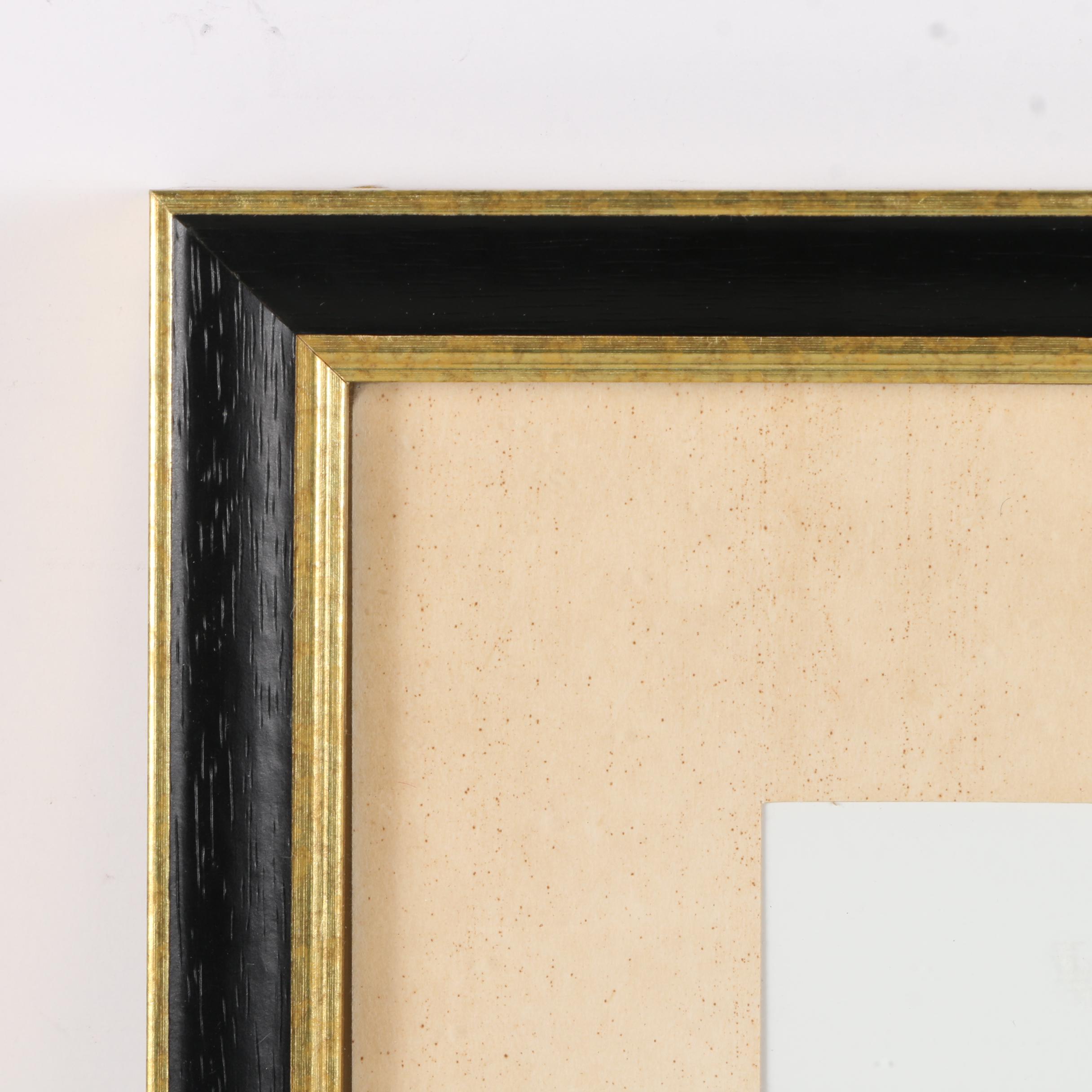 Hand Colored Etchings and Black and White Photograph