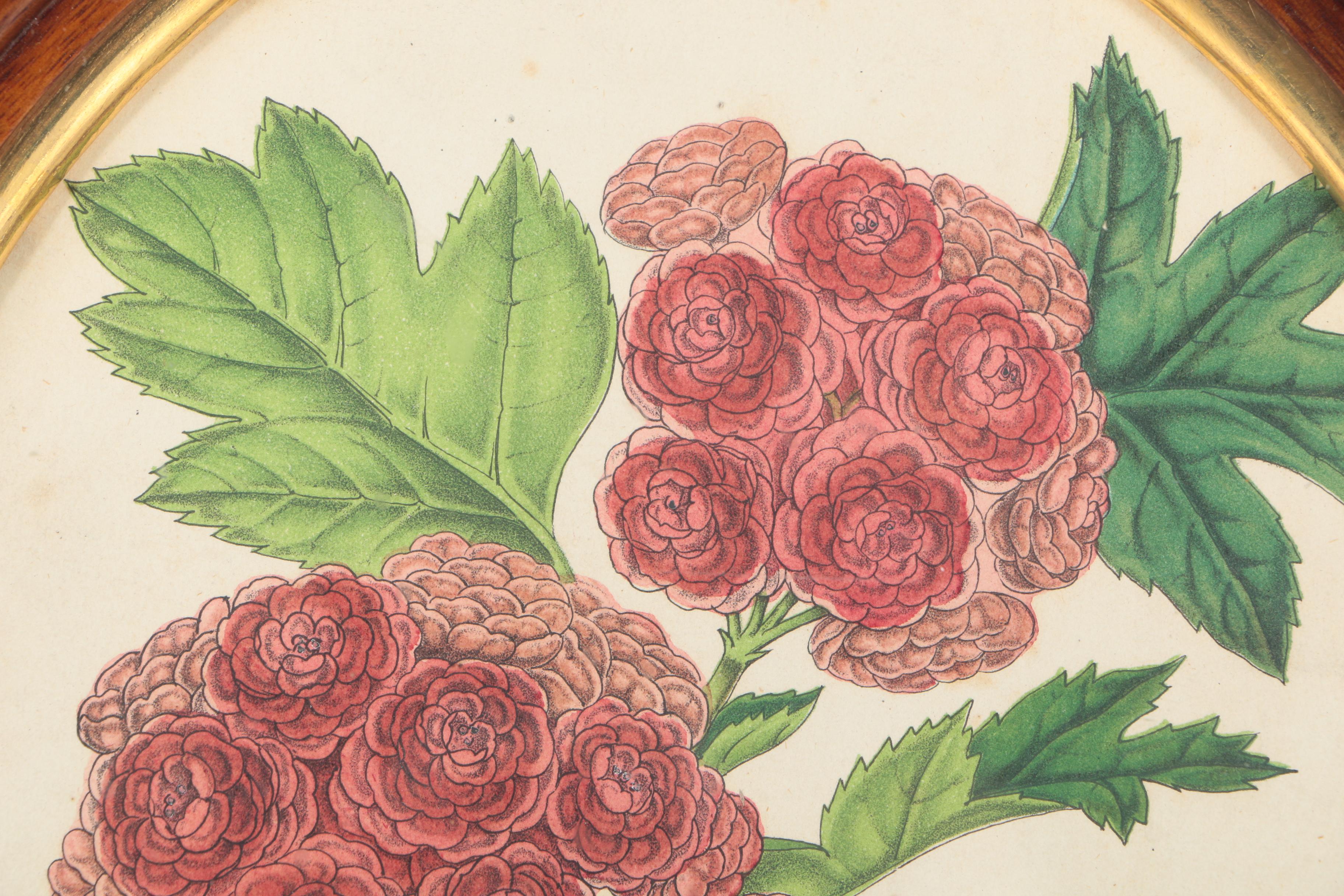 Three Botanical Prints of Pink Flowers