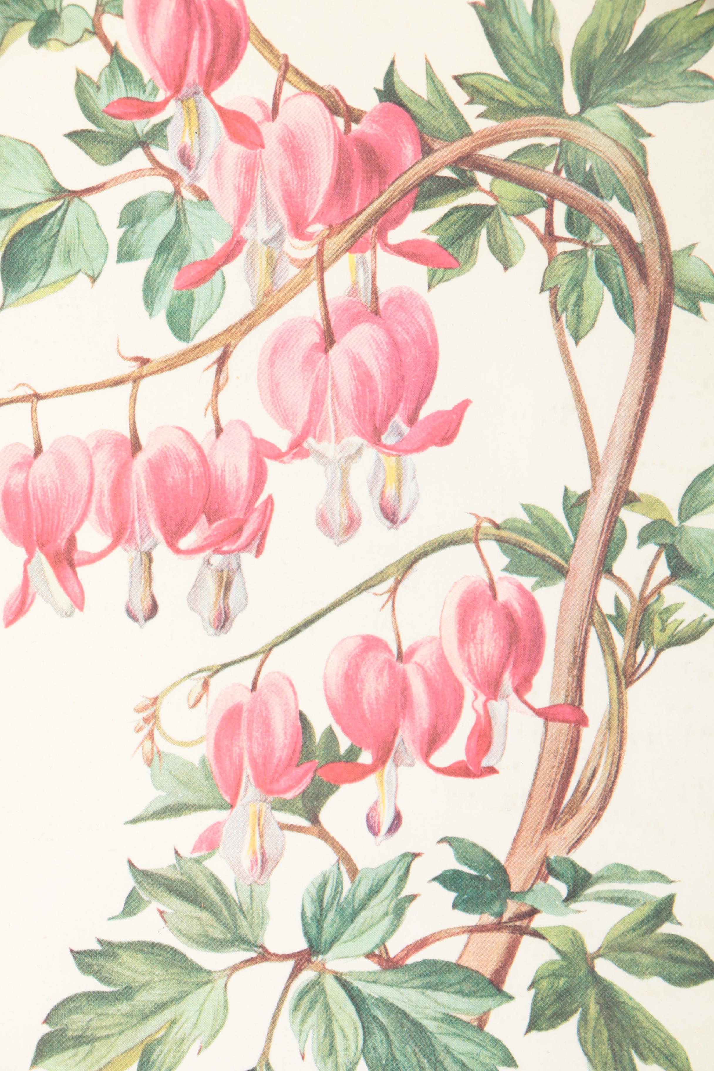 Three Botanical Prints of Pink Flowers