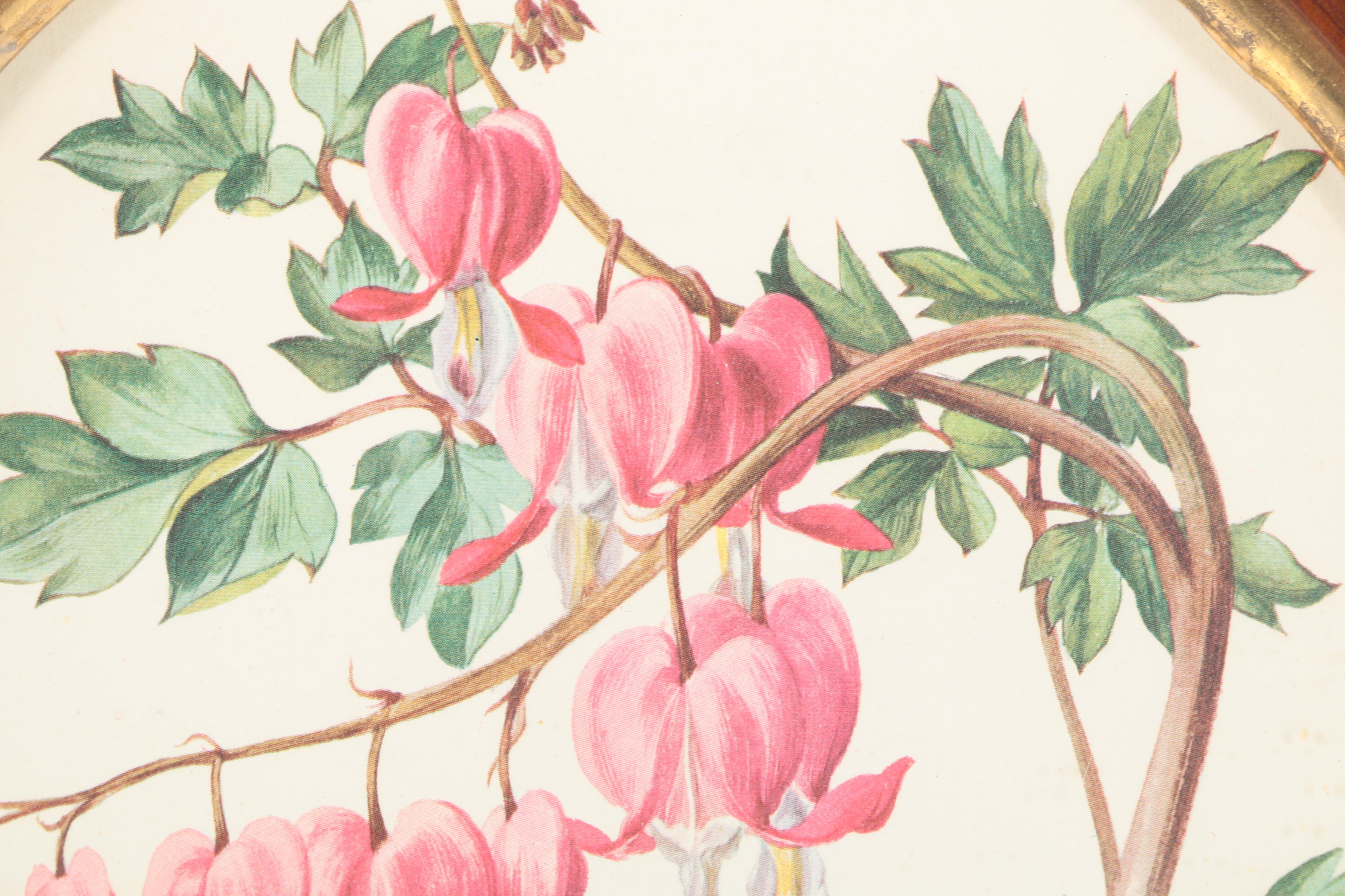Three Botanical Prints of Pink Flowers