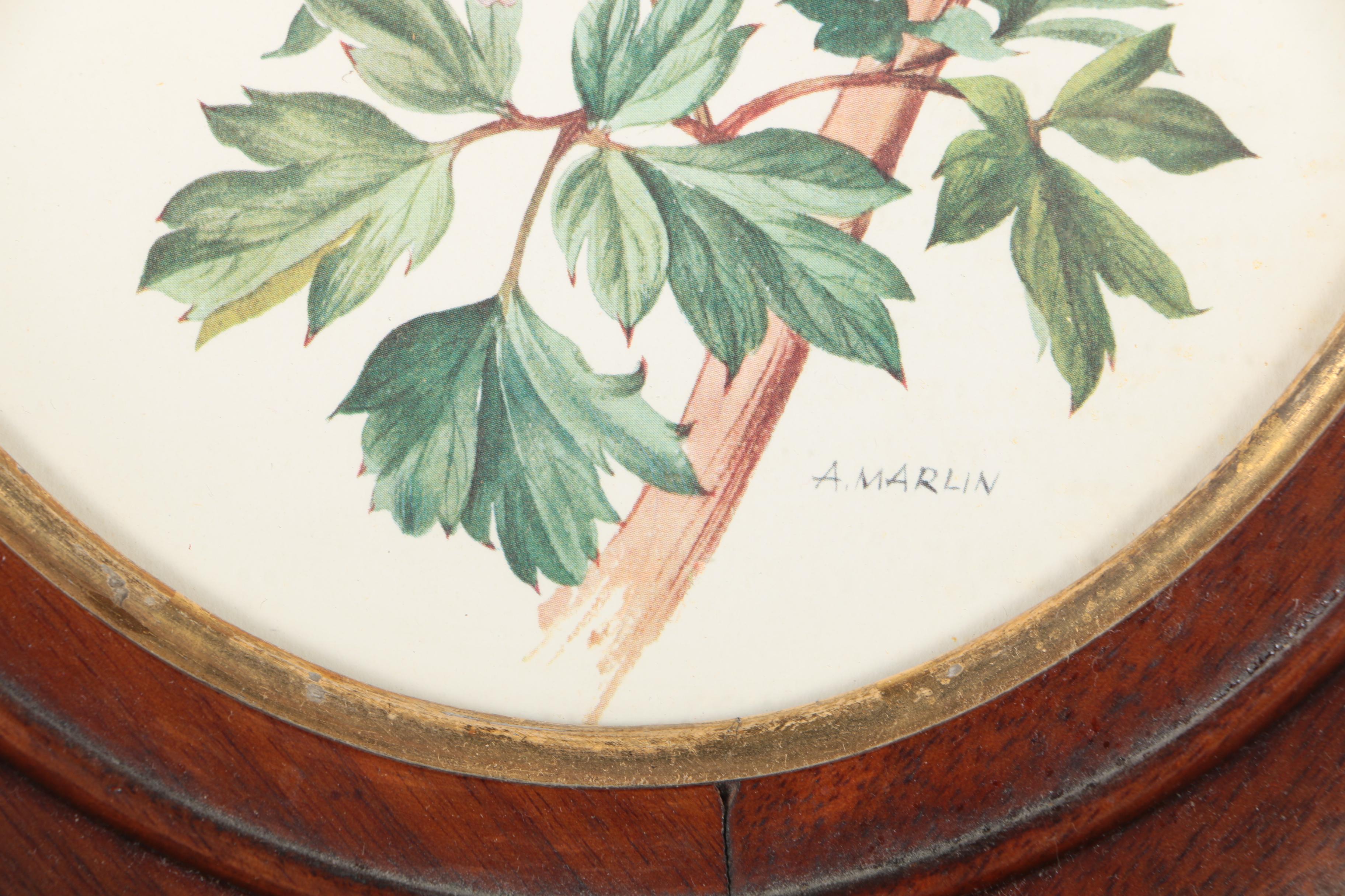 Three Botanical Prints of Pink Flowers