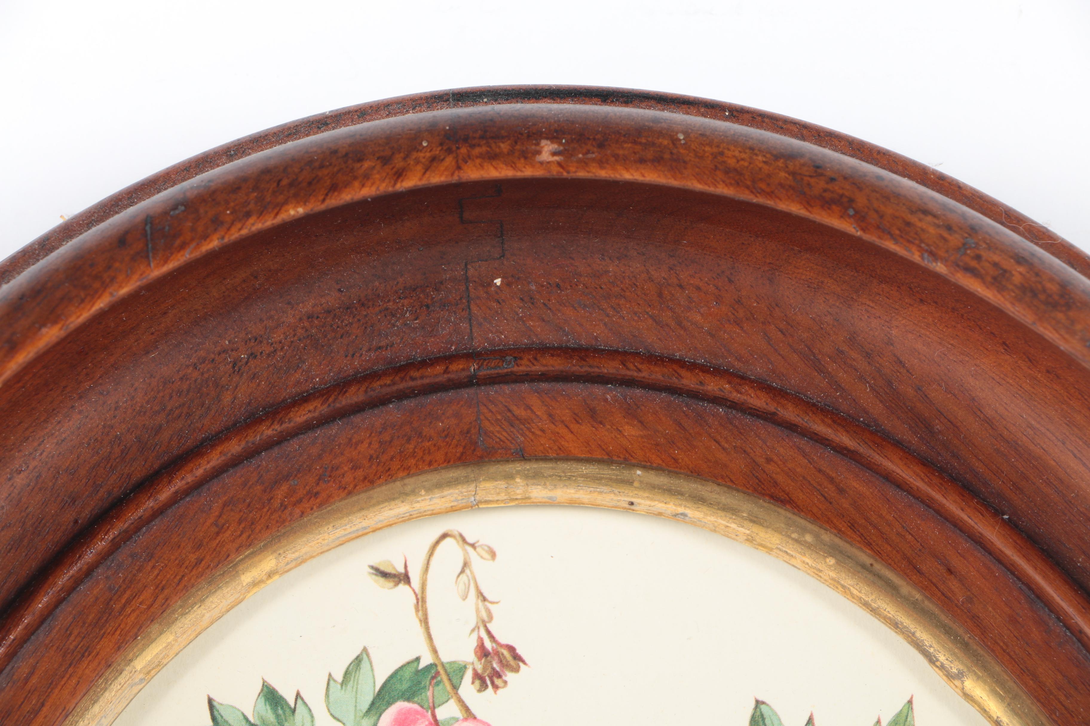 Three Botanical Prints of Pink Flowers