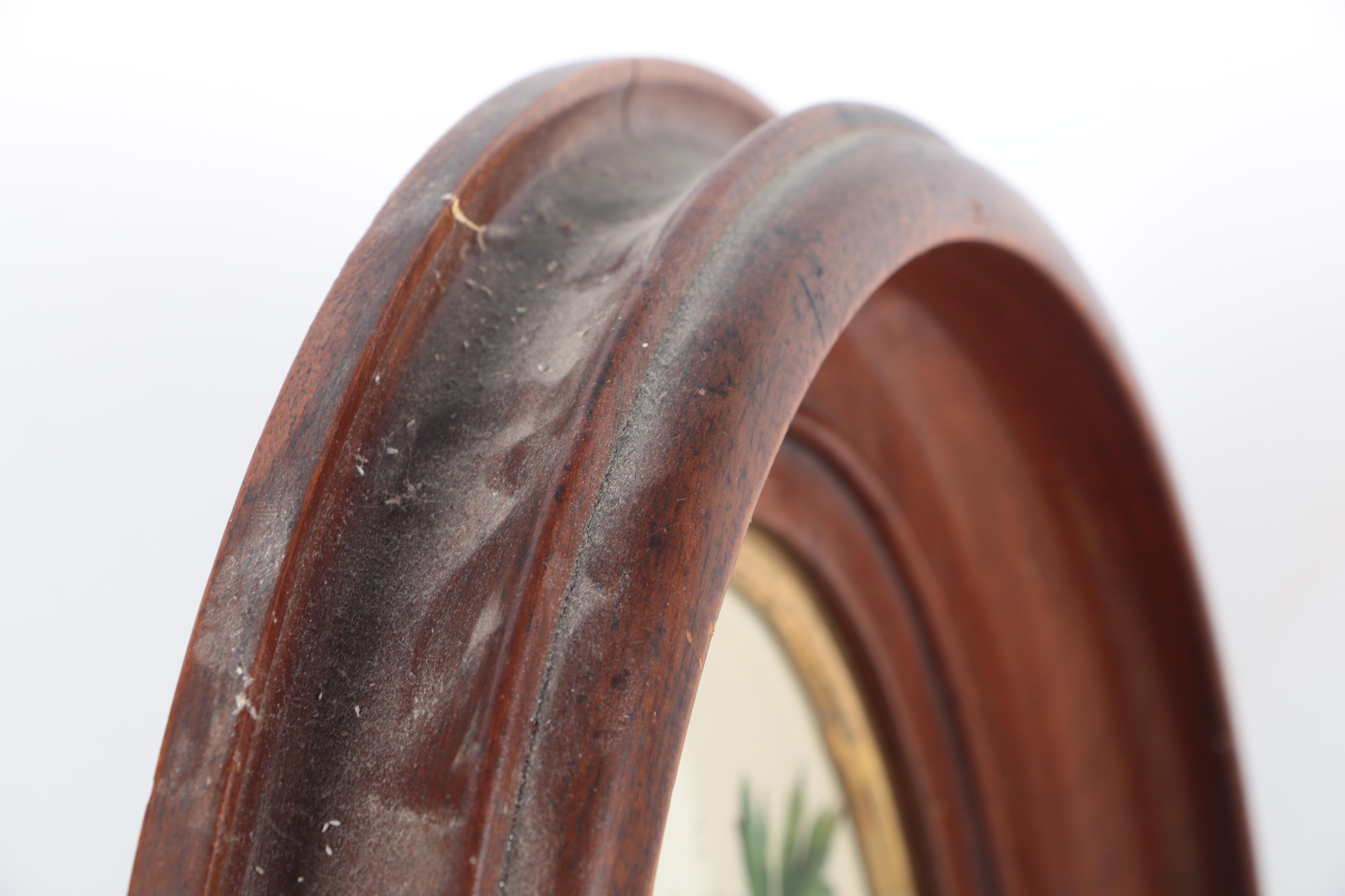 Three Botanical Prints of Pink Flowers