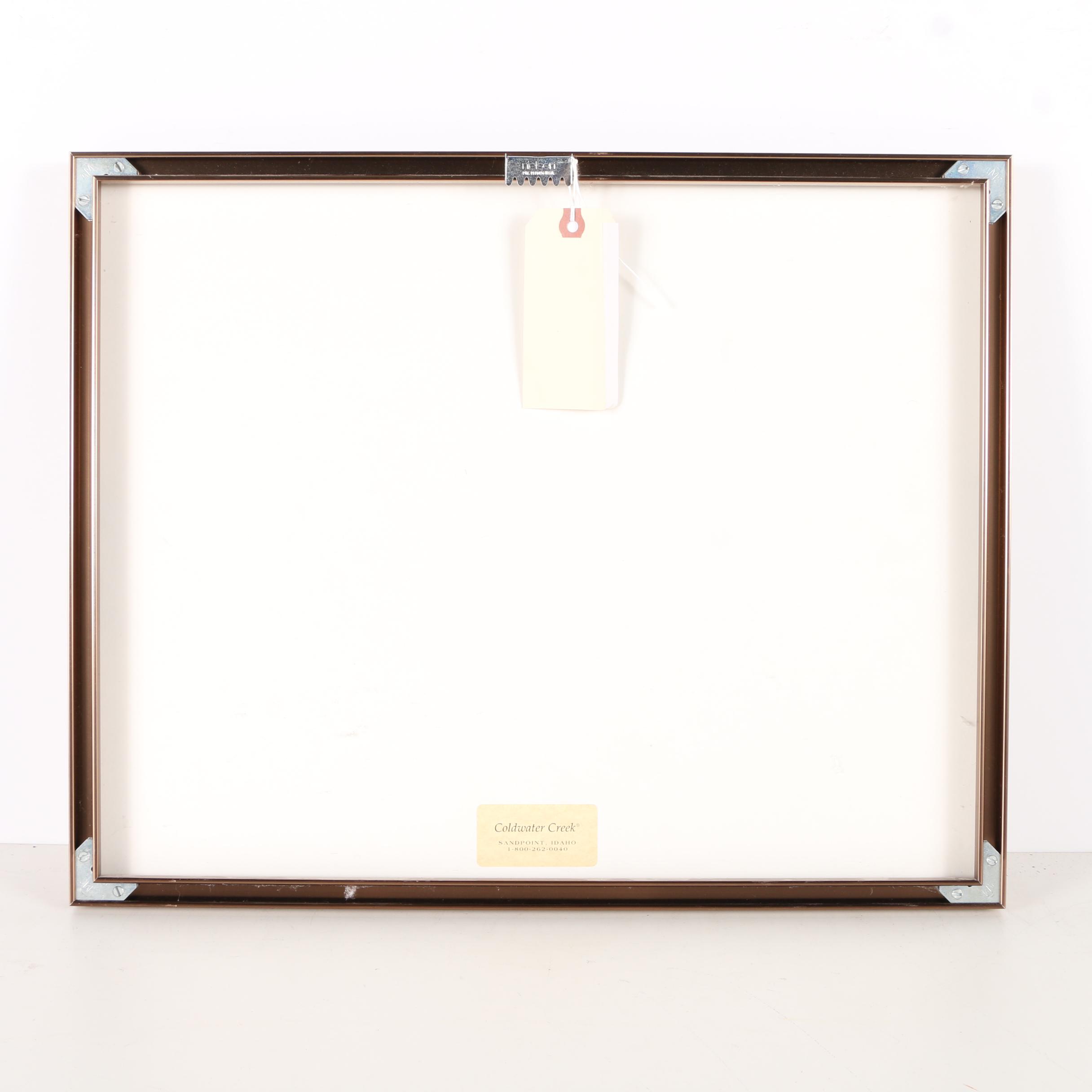 Photograph Of Foxes Sleeping