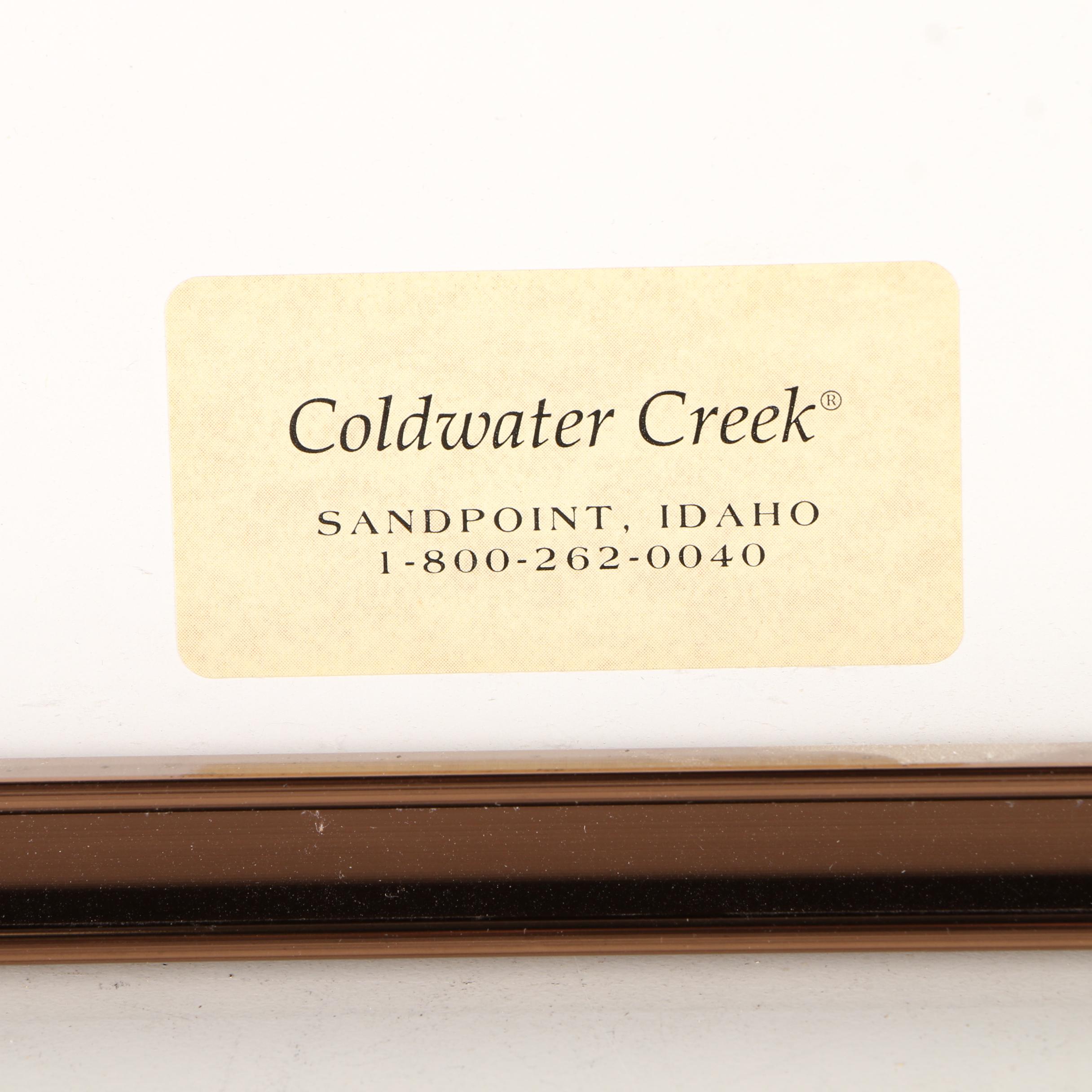 Photograph Of Foxes Sleeping