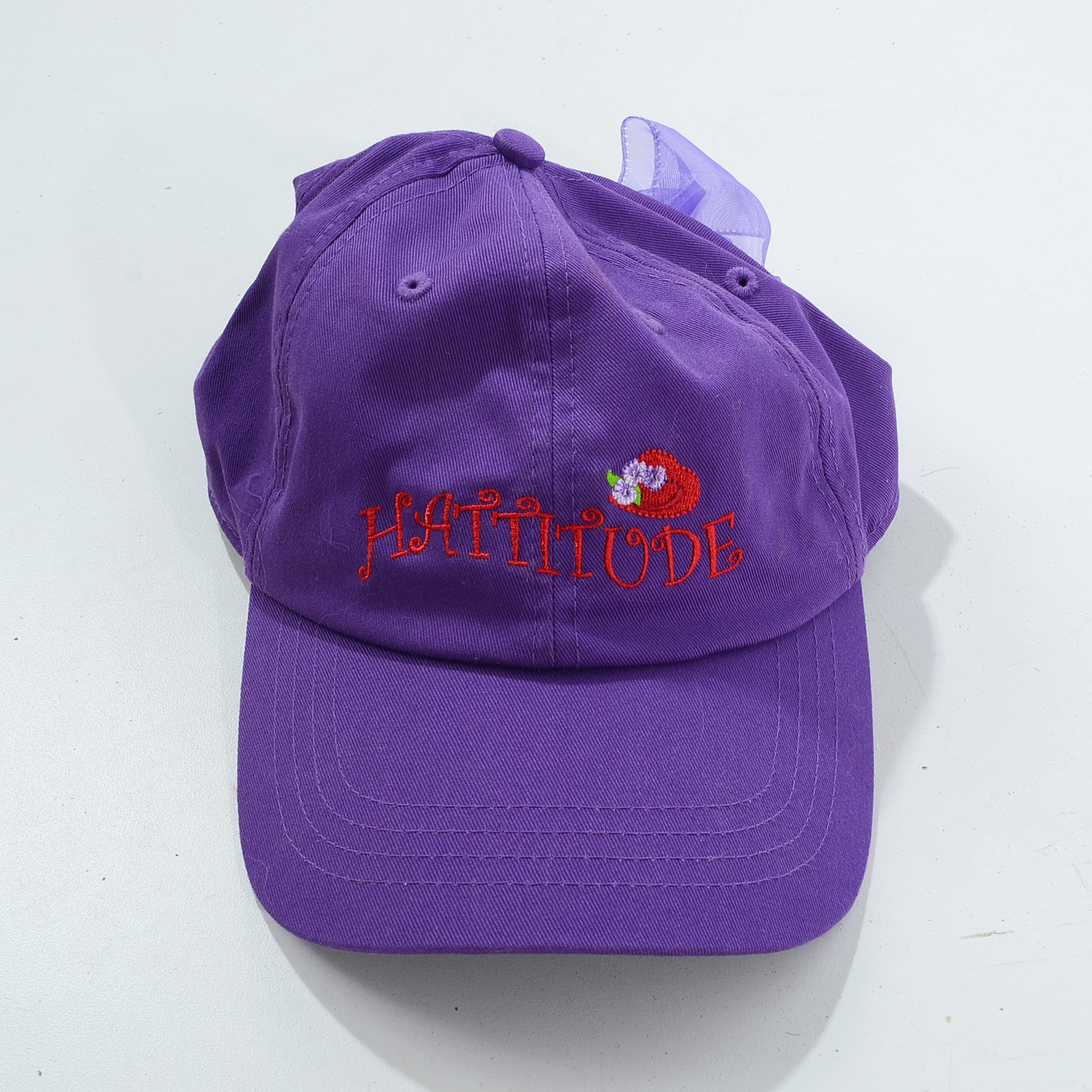 Assortment of Women's Red Hat Society Items