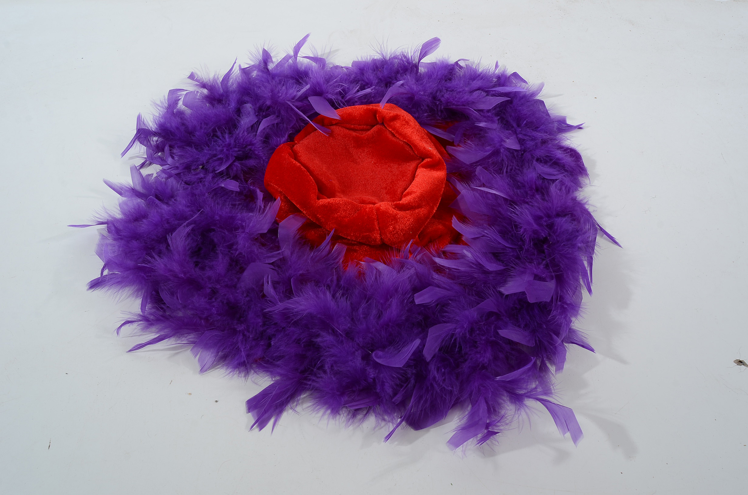 Assortment of Women's Red Hat Society Items