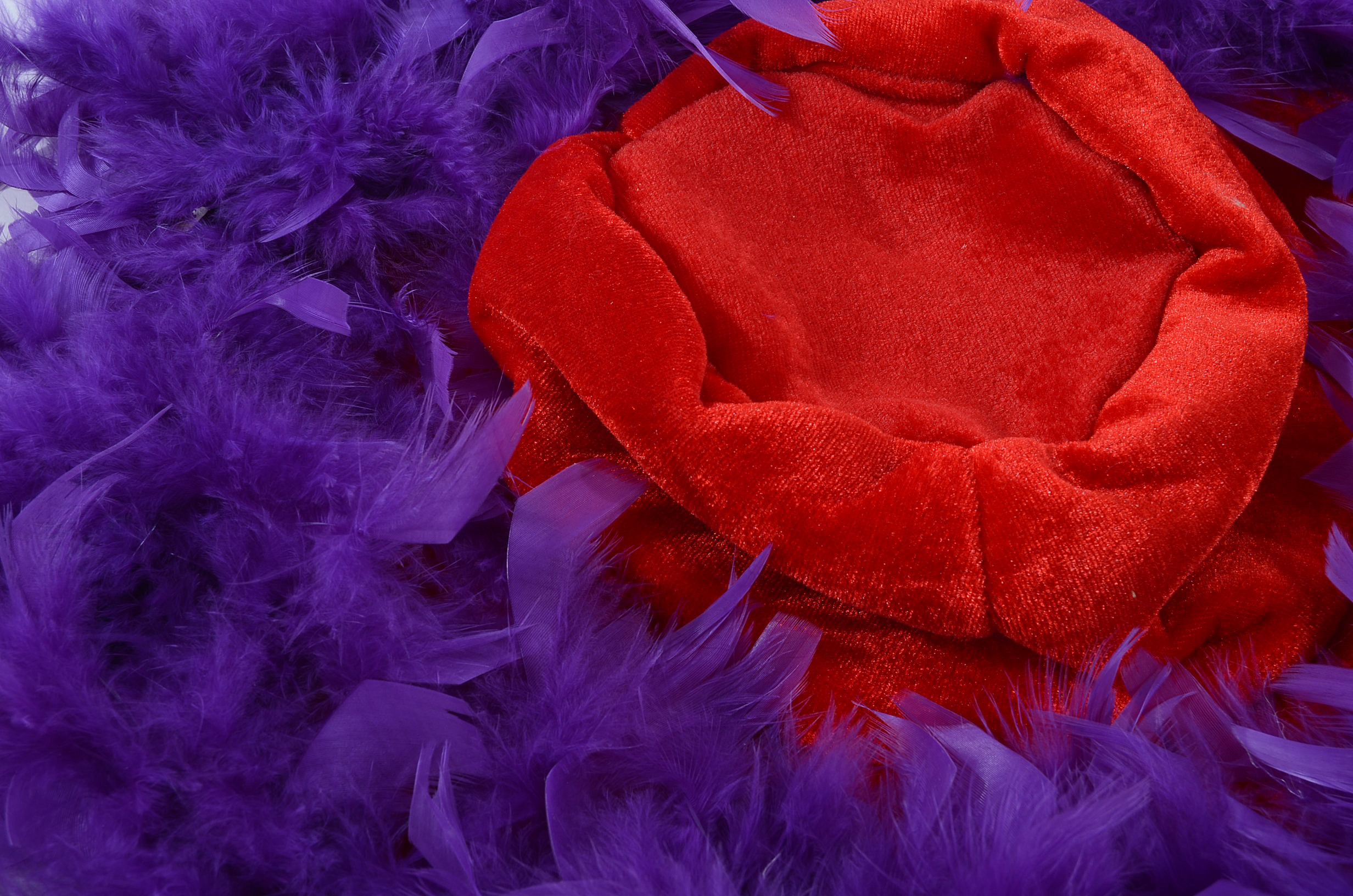 Assortment of Women's Red Hat Society Items