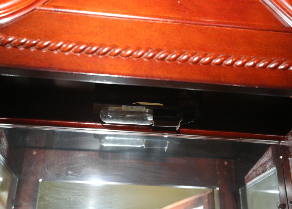 Glazed-Door Curio Cabinet