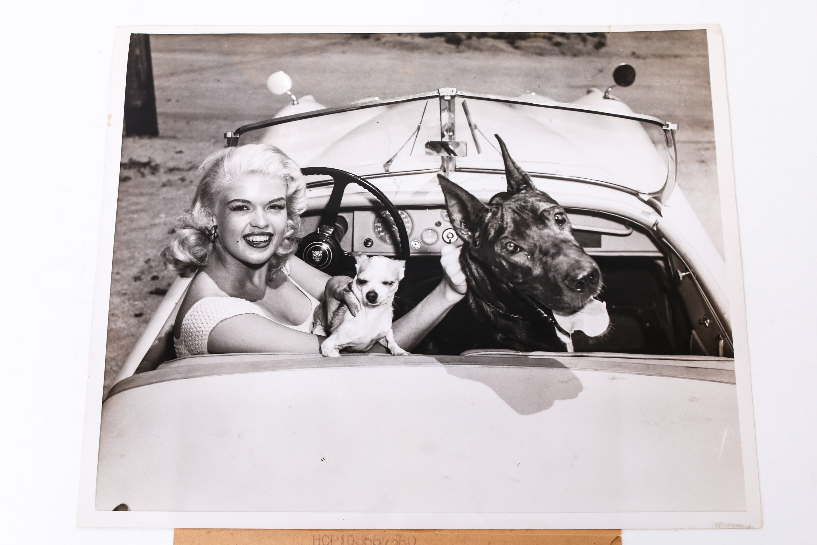 Collection of Photographs of Jayne Mansfield