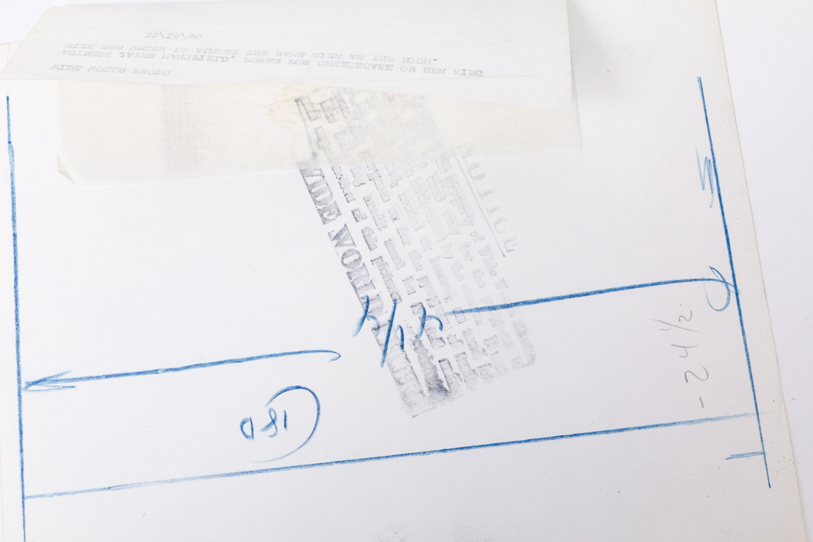 Collection of Photographs of Jayne Mansfield