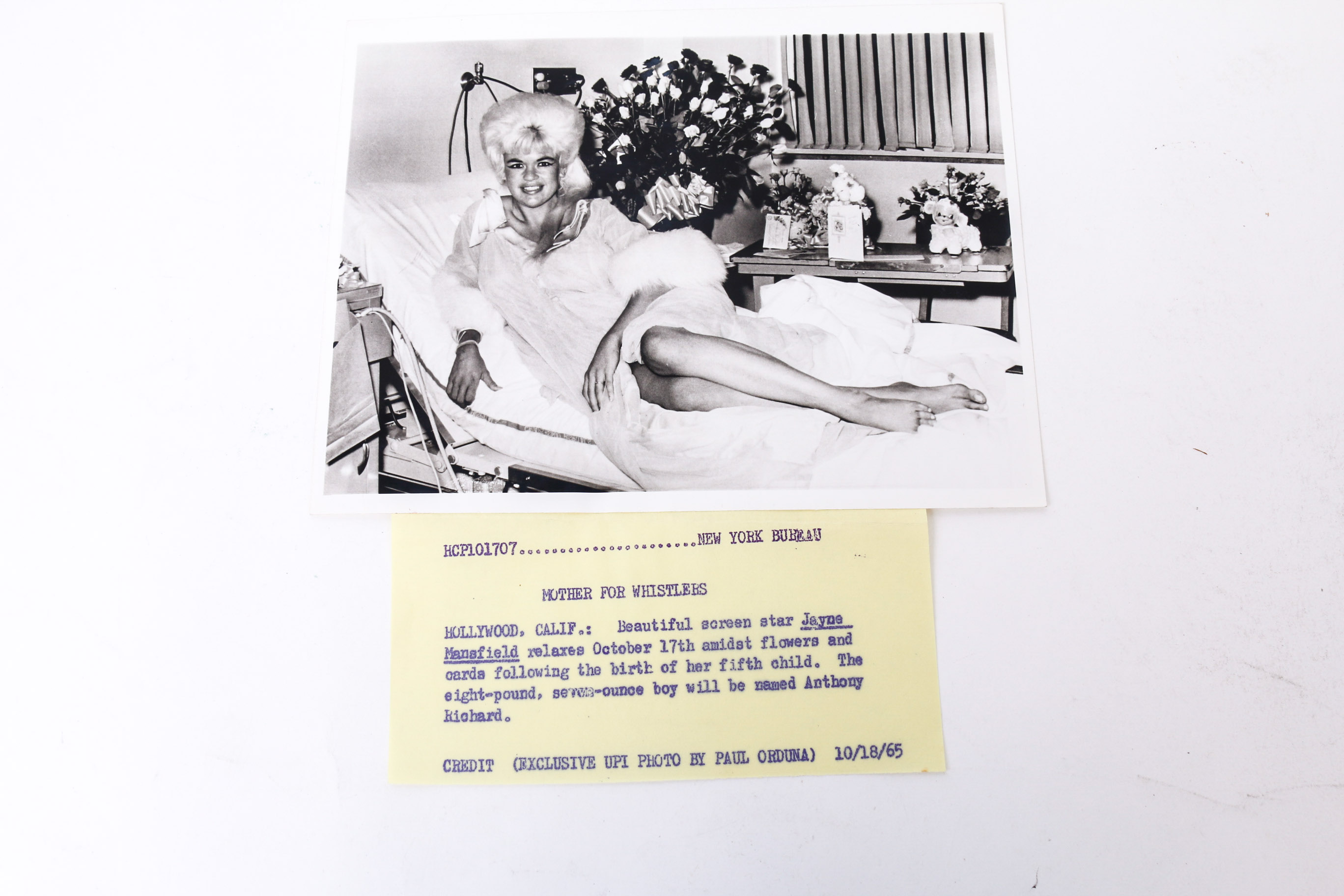 Collection of Photographs of Jayne Mansfield