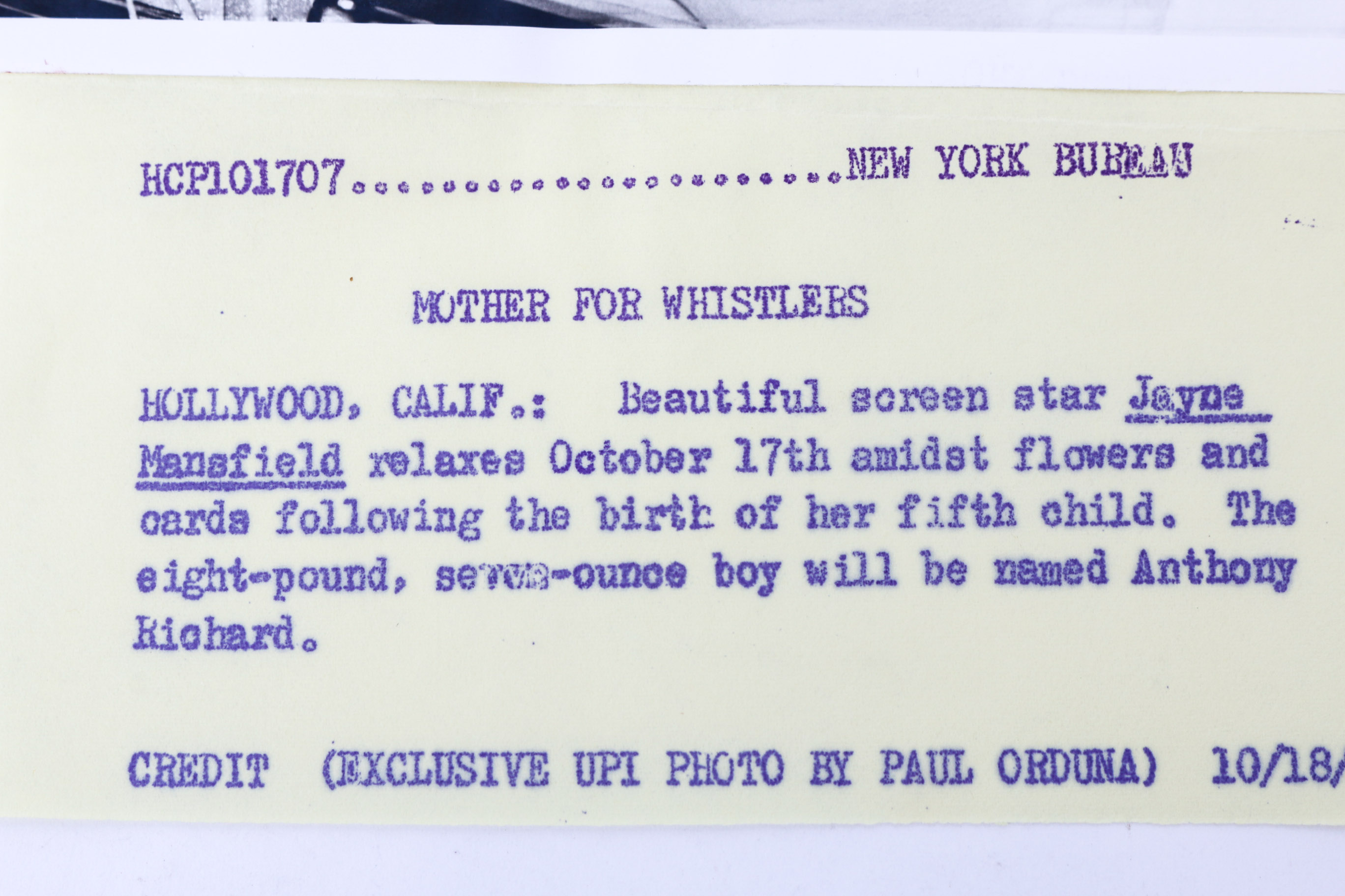 Collection of Photographs of Jayne Mansfield